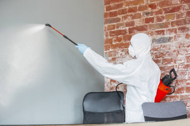 Mold Remediation for Vacation Homes in Felton, CA