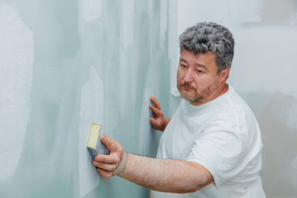 Reliable Felton, CA Mold Removal Solutions